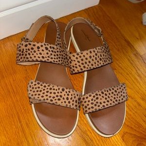 Leopard Sandal